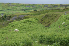 
Tramroad cutting above Pwlldu Quarry looking East, June 2009